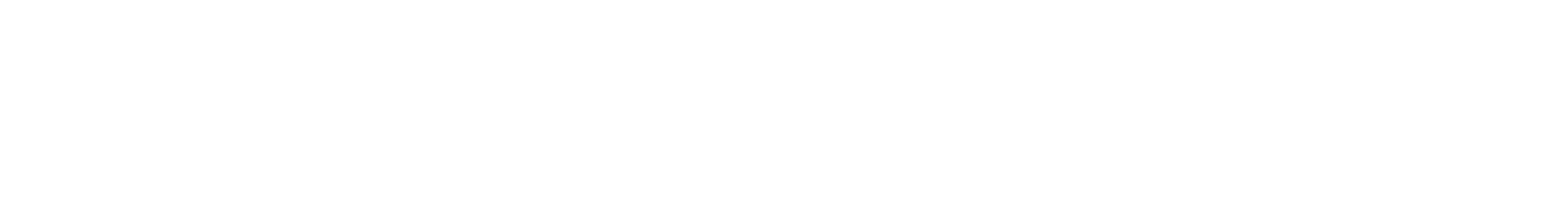 FLUX SONIC